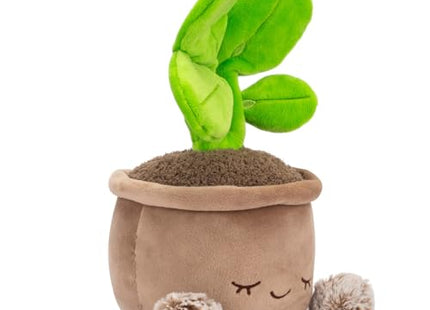 Greenhouse by Russ 12-Inch Pilea Plant Plush
