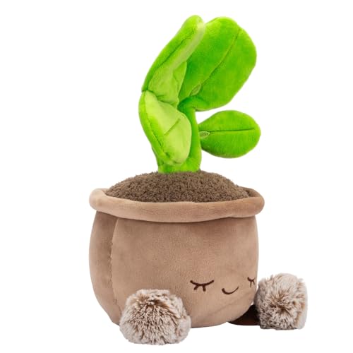 Greenhouse by Russ 12-Inch Pilea Plant Plush