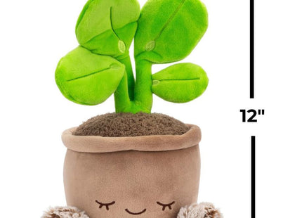 Greenhouse by Russ 12-Inch Pilea Plant Plush
