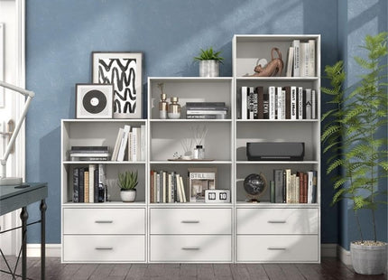 Furniture of America Seni Stackable Wood 2-Drawer Bookcase in White