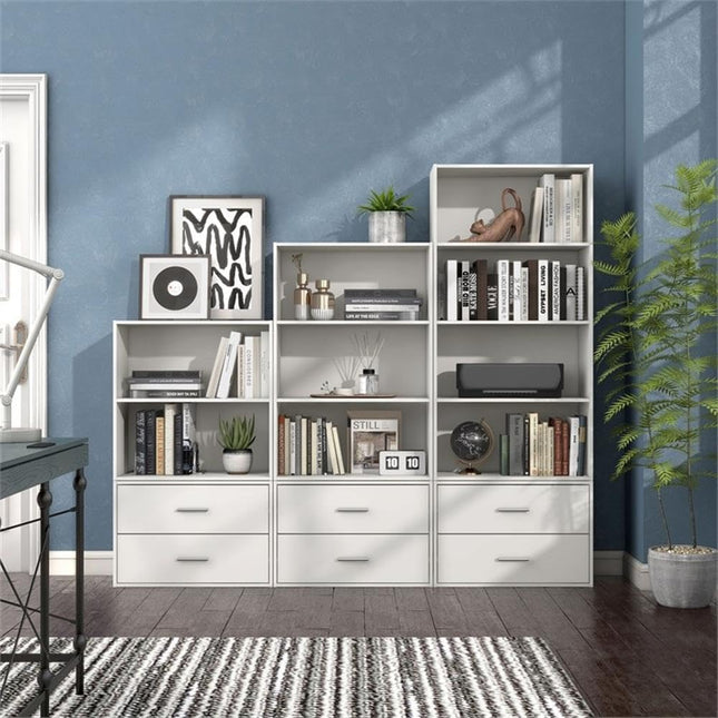 Furniture of America Seni Stackable Wood 2-Drawer Bookcase in White