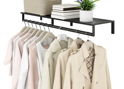 Wall Mounted Clothes Rack with Top Shelf, 41''