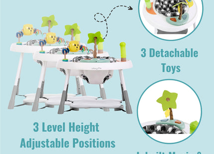 Dream On Me Curio Sit N Seek Baby Activity Center