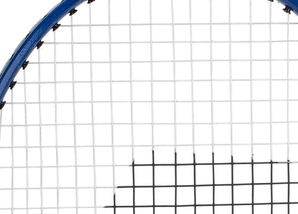 Franklin Sports Badminton Racket + Birdie Set