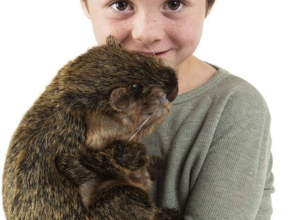 Folkmanis Groundhog Hand Puppet