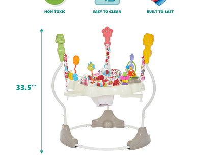 Dream On Me Zany 2-in-1 Baby Activity Center and Bouncer