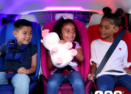 Diono Radian 3R, 3-in-1 Convertible Car Seat