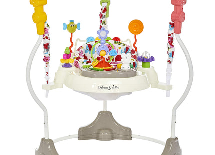 Dream On Me Zany 2-in-1 Baby Activity Center and Bouncer