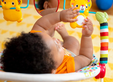 Bright Starts Portable Baby Bouncer