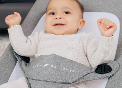 Baby Delight Alpine Deluxe Portable Bouncer