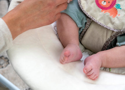 Ingenuity Soothe 'n Delight Compact Portable 6-Speed Plush Baby Swing