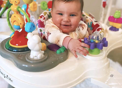 Dream On Me Zany 2-in-1 Baby Activity Center and Bouncer