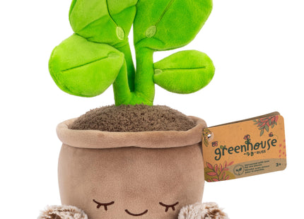 Greenhouse by Russ 12-Inch Pilea Plant Plush