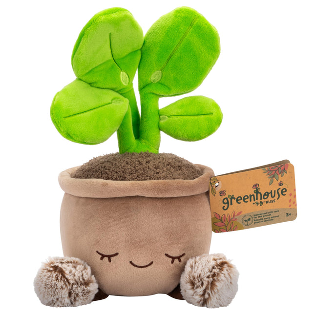 Greenhouse by Russ 12-Inch Pilea Plant Plush