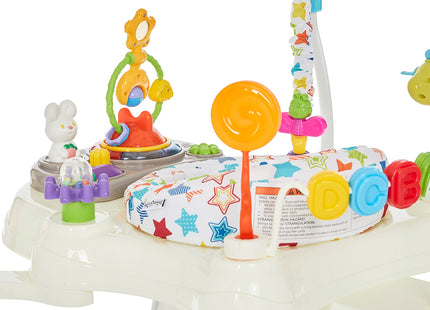 Dream On Me Zany 2-in-1 Baby Activity Center and Bouncer