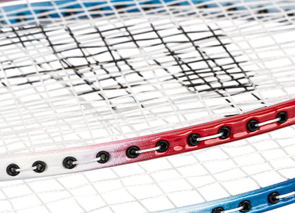 Franklin Sports Badminton Racket + Birdie Set