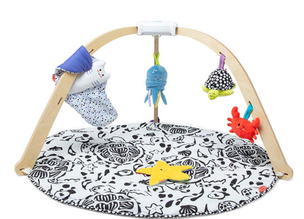 Melissa & Doug Ocean Easy-Fold Wooden Play Gym