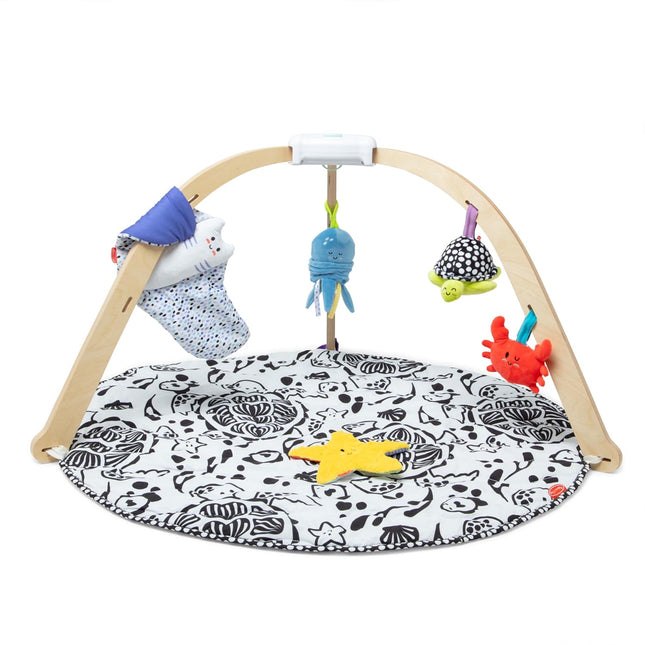Melissa & Doug Ocean Easy-Fold Wooden Play Gym