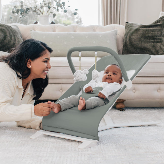 Baby Delight Alpine Deluxe Portable Bouncer