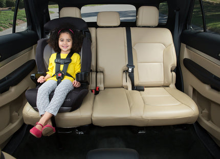 Cosco Finale DX 2-in-1 Booster Car Seat