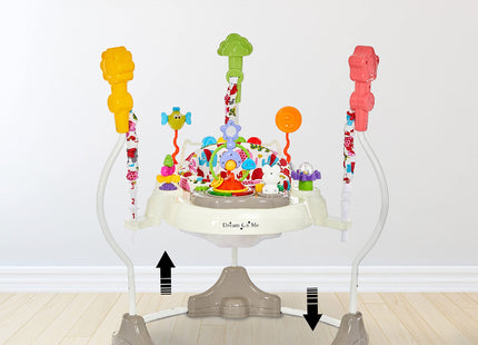 Dream On Me Zany 2-in-1 Baby Activity Center and Bouncer