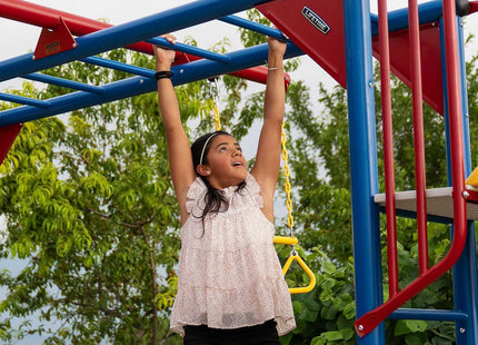 Lifetime Big Stuff Deluxe Swing Set Playset, Primary
