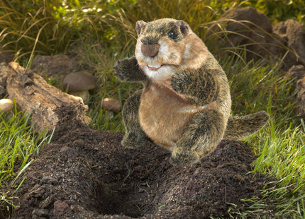 Folkmanis Groundhog Hand Puppet