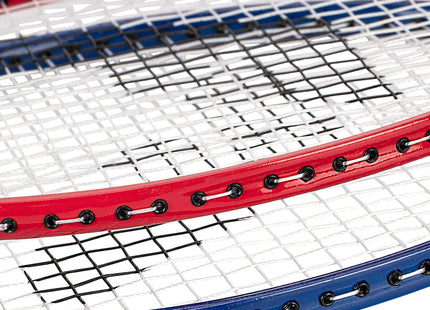 Franklin Sports Badminton Racket + Birdie Set