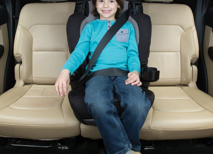 Cosco Finale DX 2-in-1 Booster Car Seat